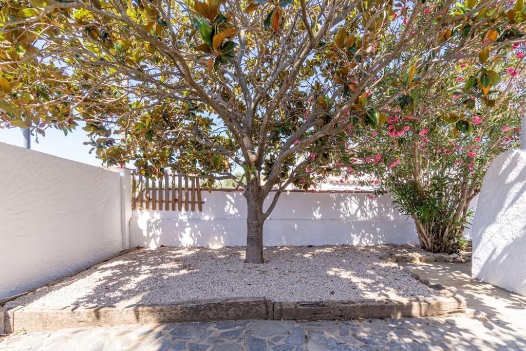 Vakantiehuis Mbii- Paradise Emporda With Heated Little Swiming-pool-very Quite Place Roses